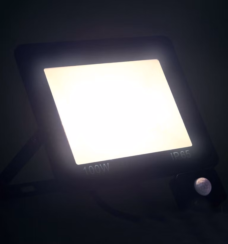 Faretto a LED con Sensore 100 W Bianco Freddo
