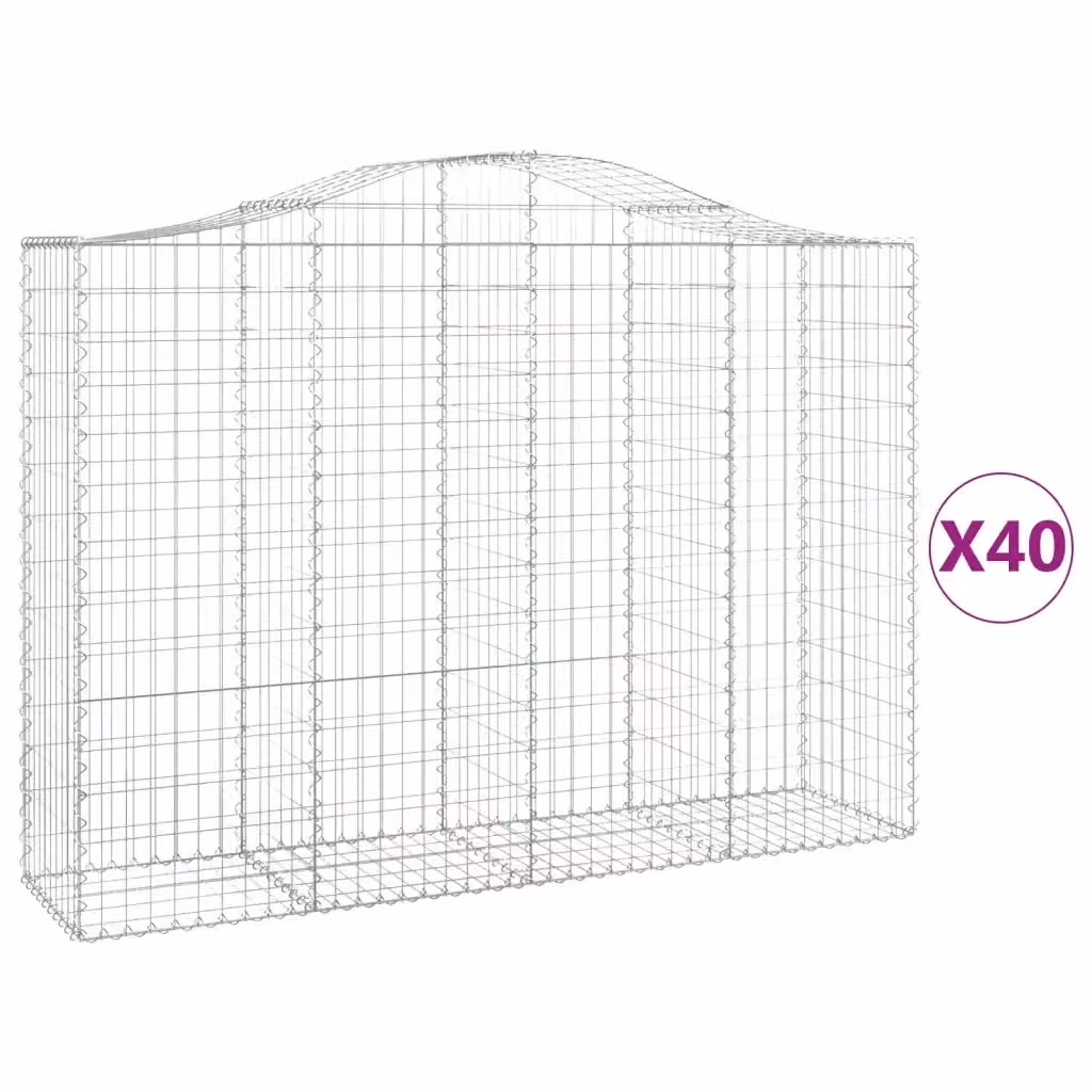 Set di 40 Cesti Gabbioni ad Arco vidaXL in Acciaio Zincato Argento L/P/H: 200 x 50 x 140/160 cm – 2
