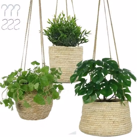 Piantaglia vaso pendente natura 3 pezzi