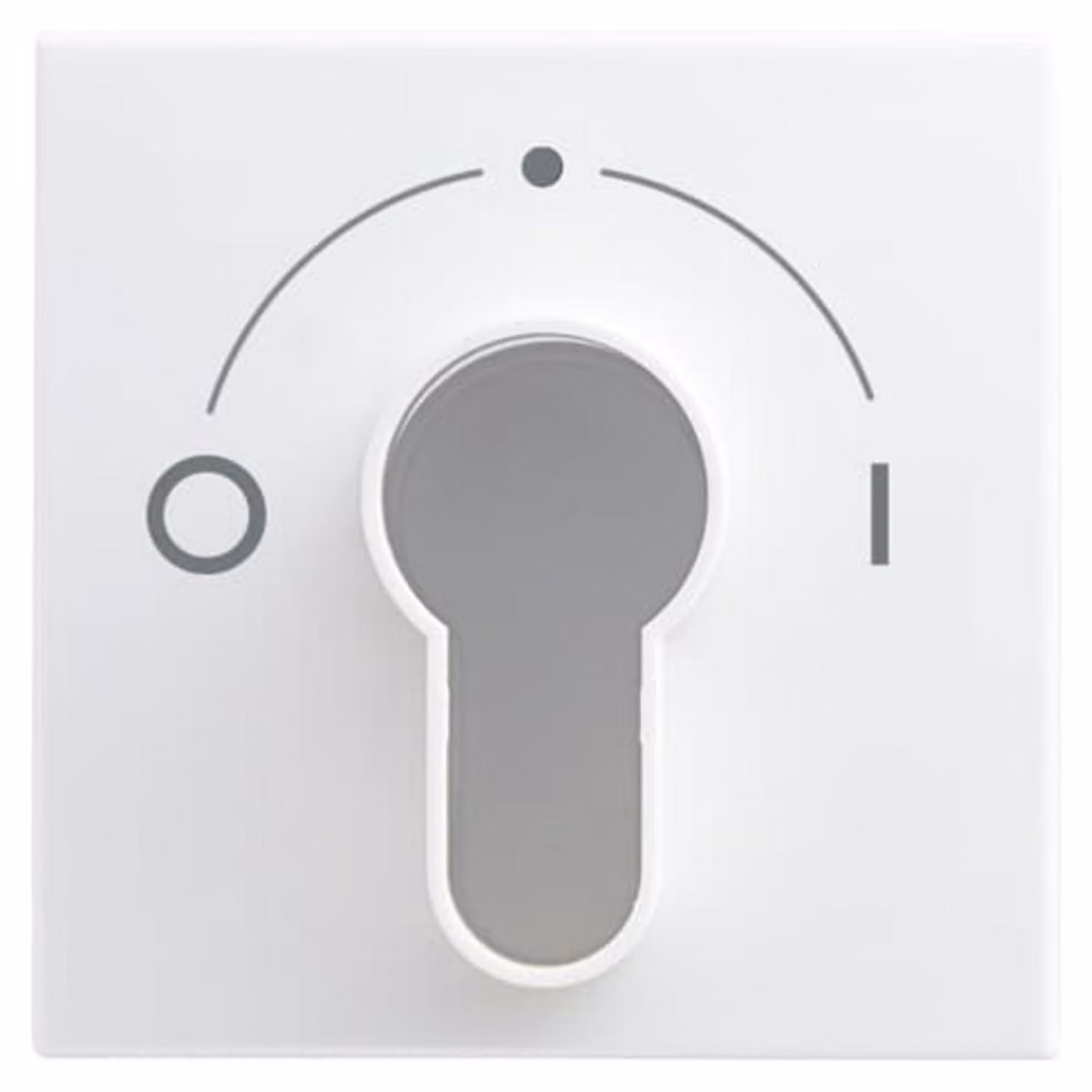 Busch-Jaeger tende a disco centrali/interruttore orario 2557 SLPZ-914-101