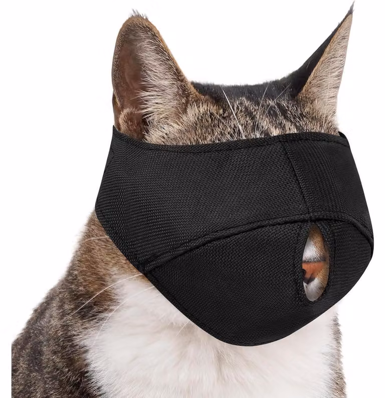 Museruola per gatti, traspirante, in nylon, colore nero, taglia M