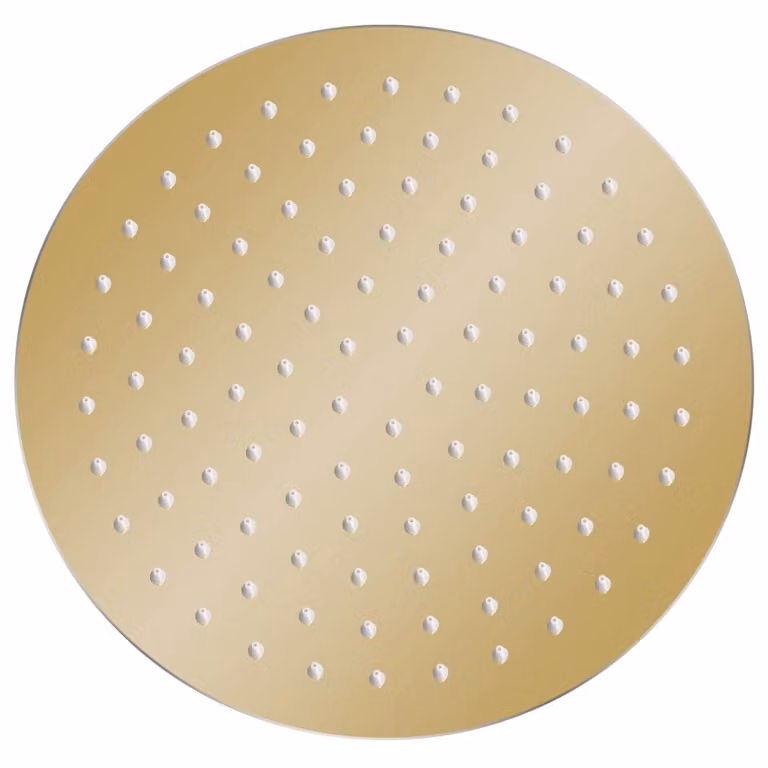 vidaXL Doccia a pioggia in acciaio inox 25 cm rotonda Golden