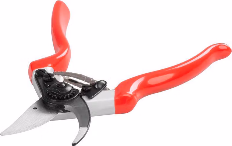 Forbici Strend Pro Premium 3103A-4, da giardino, per rami