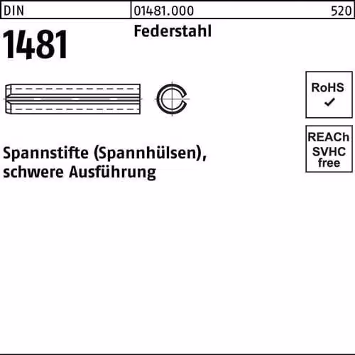 Spine Reyher DIN 1481 in acciaio per molle 5 x 28 014810000050028 (500 pezzi)