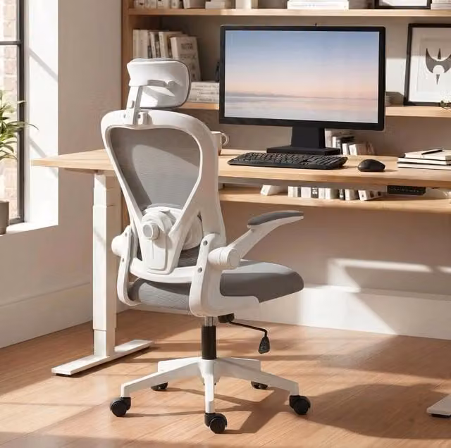 Sedia da Ufficio Ergonomica Grigia con Supporto Lombare Regolabile