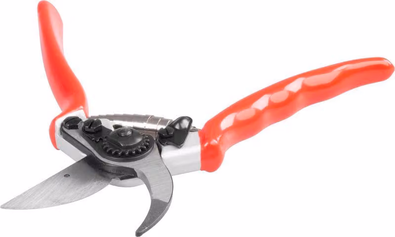 Forbici Strend Pro Premium 3103A-5, da giardino, per rami