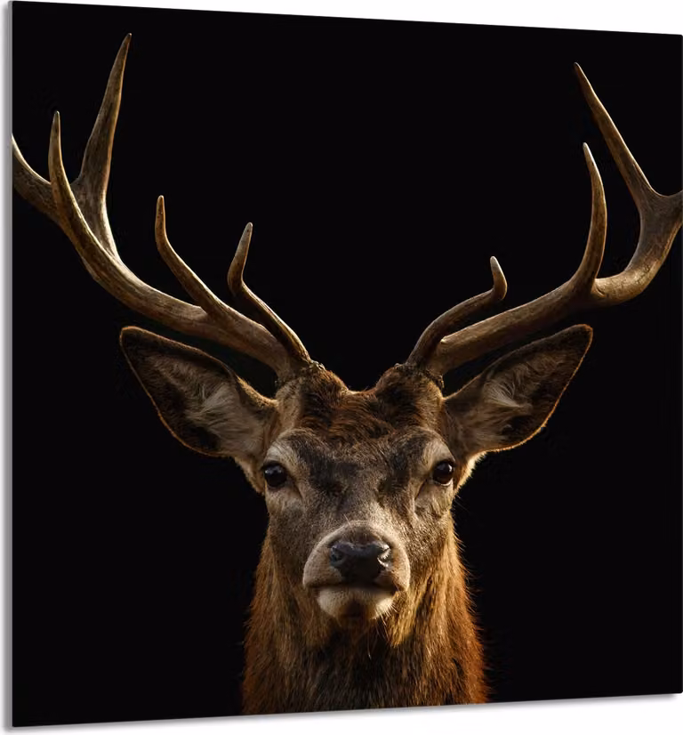 PIATTO IN VETRO PER CUCINA 60x65 Stag