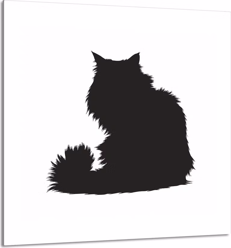 PIATTO IN VETRO PER CUCINA 60x65 cat