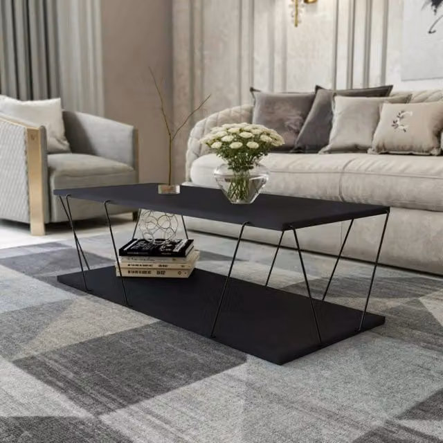 Tavolino da salotto Sarika DMORA, tavolo basso moderno con portariviste, L/P/H: 120 x 50 x 30 cm, Antracite e Nero – 1