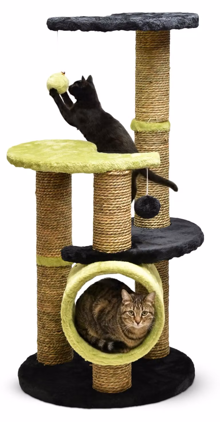 Aqpet: Albero per gatti da 86 cm, con corda in sisal, doppia piattaforma e tunnel per il massimo divertimento