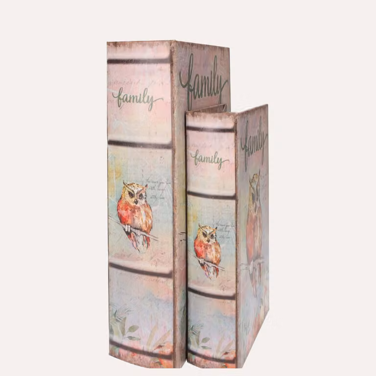 KEYHOMESTORE | Coppia Scatole Libro Civetta in MDF