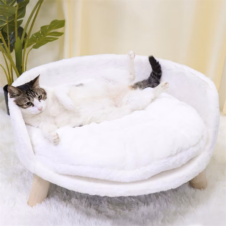 WISFOR divano per cani con rivestimento morbido, divano per animali domestici divano per gatti gambe in legno schienale, letto per cani 61,5 × 32,8 cm