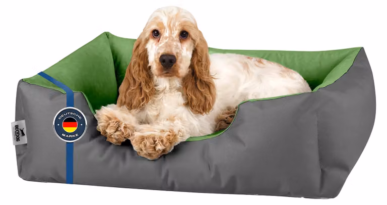 Lettino per cani BedDog LUPI, divanetto per cani, cuscino lavabile, GREEN-ROCK (grigio/verde), (S) ca. 55x40x17 cm