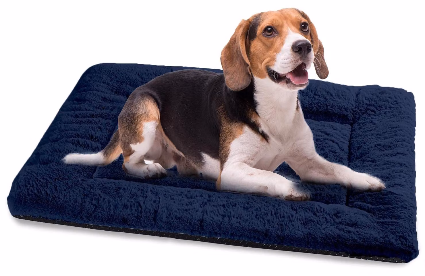 Omgoods - Cuccia per cani lavabile - Cuscino antiscivolo per cani - Cuccia morbida per cani - 90 x 60 cm - Adatta a cani di taglia media - Confortevole e calda - Letto per animali domestici