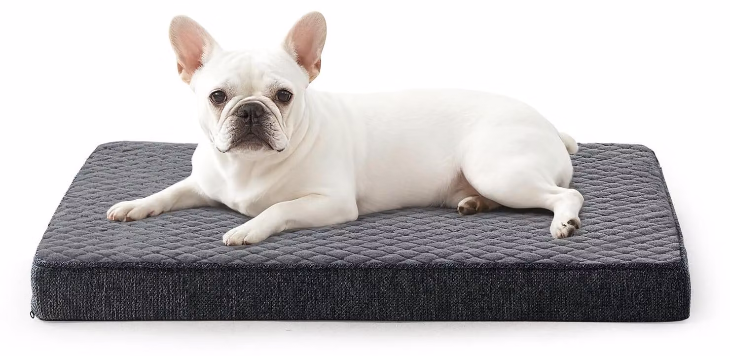 Solidchoice - Cuccia ortopedica per cani di piccola taglia, con base antiscivolo