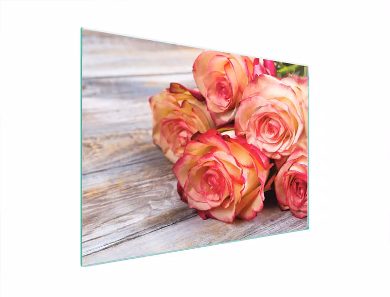 Pannello Protettivo In Vetro Per Levatori 70X52 Rose