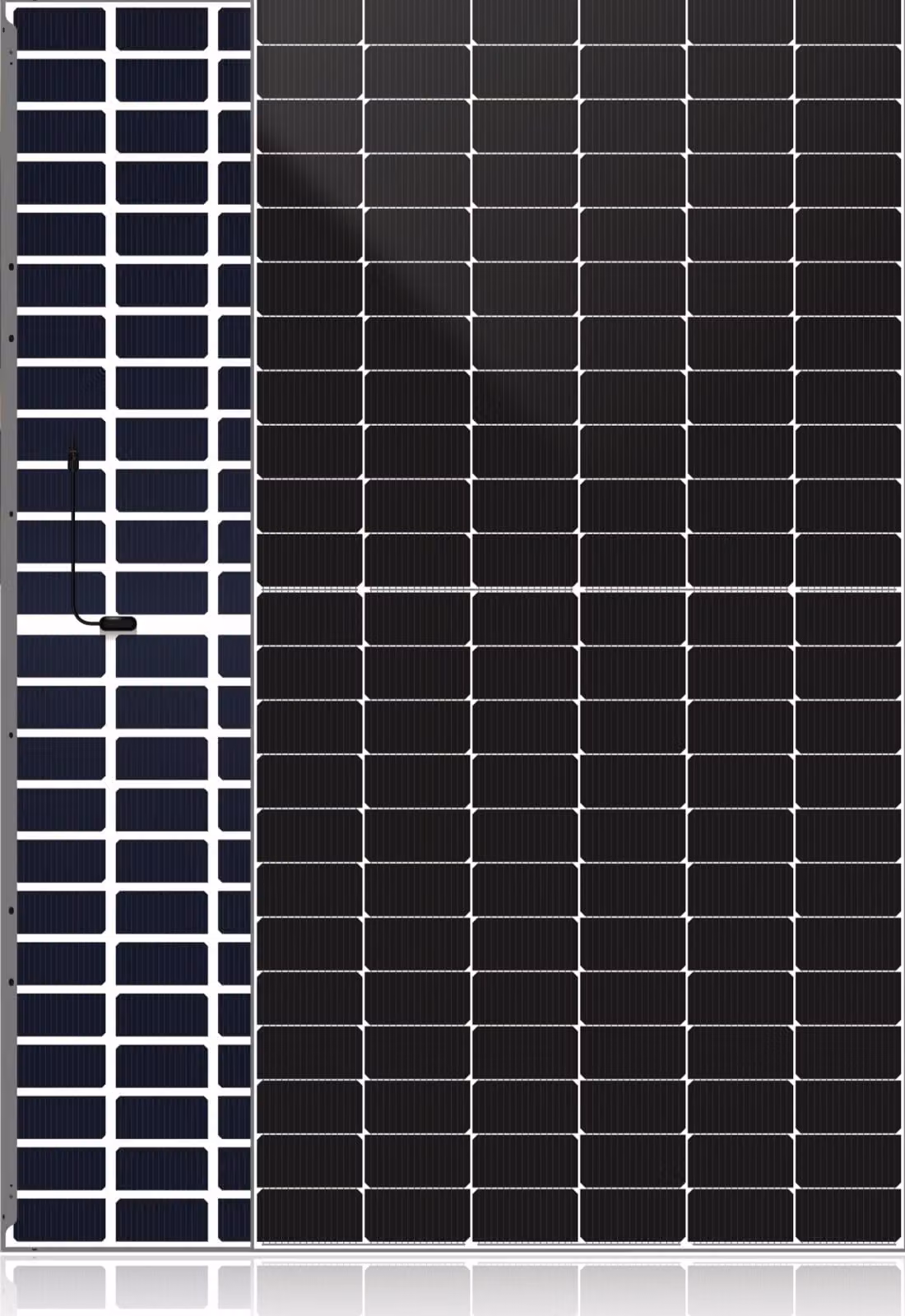 Pannello fotovoltaico DAH SOLAR 590W N Tipo BiFacciale Vetro-Vetro Argento