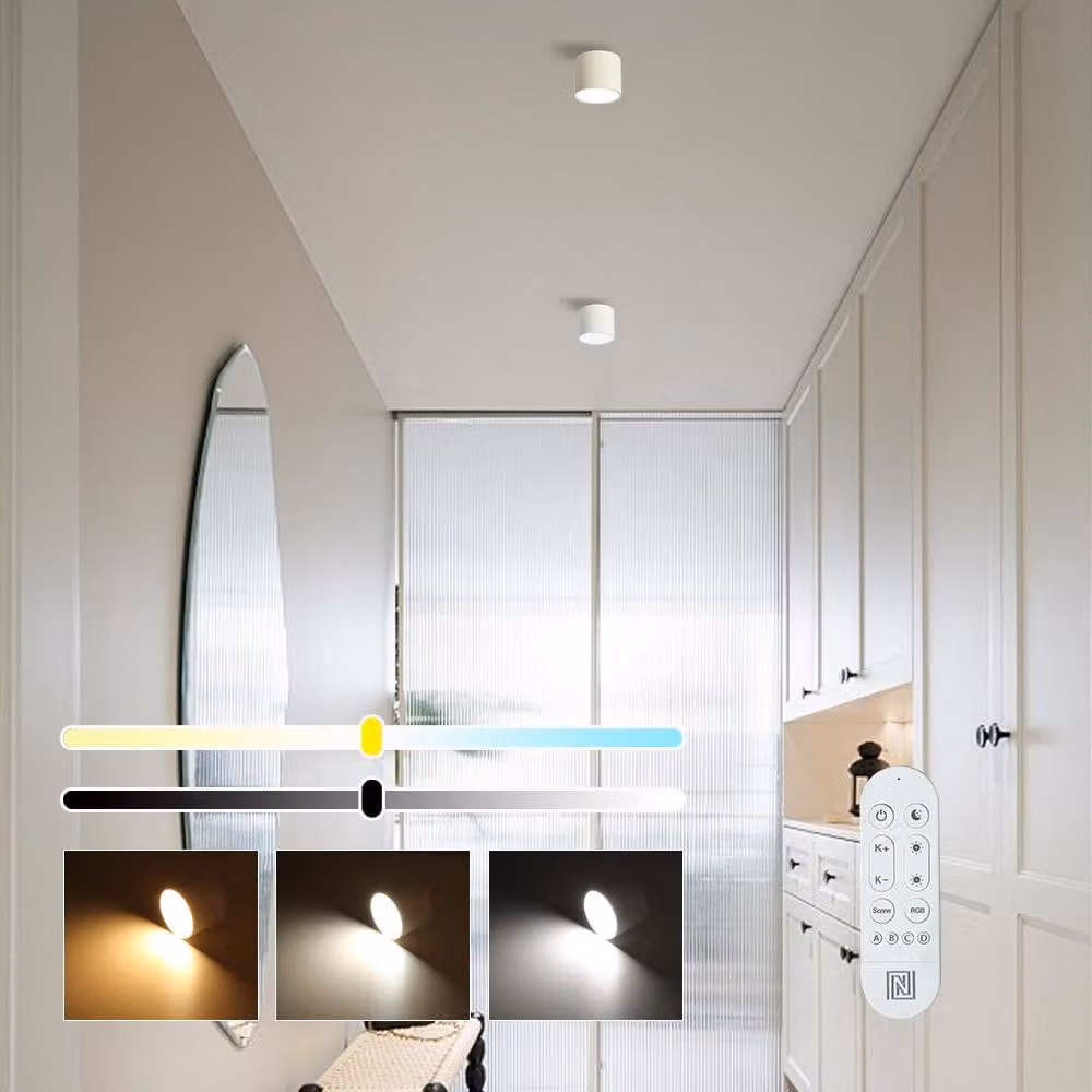 Lampada da soffitto Immax (07241L) NEO LITE RONDATES LED 115cm 18W bianco metallo+plastica telecomando T