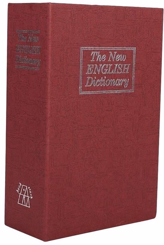 Cassaforte segreta con password - Include una chiave - Scatola portagioie piccola e portatile - Sicura per denaro e gioielli - Oggetto decorativo a forma di libro