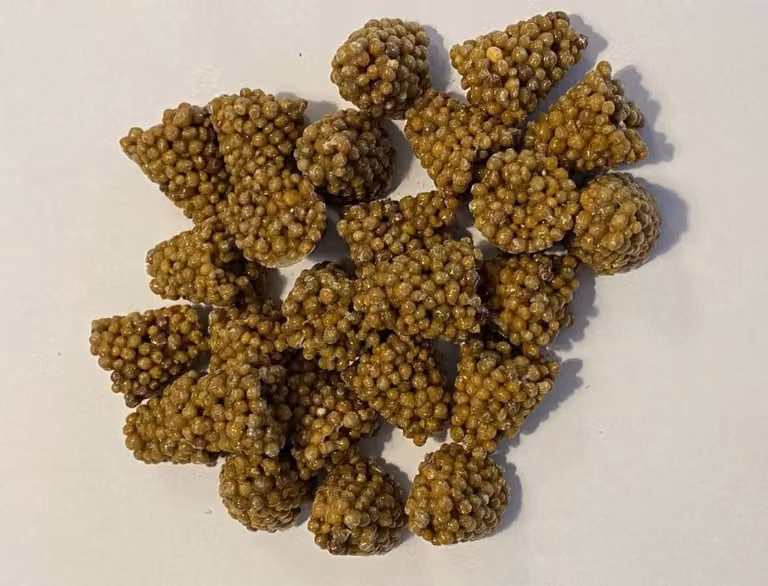 Compresse per piante d'appartamento Ferrarium 35 pezzi