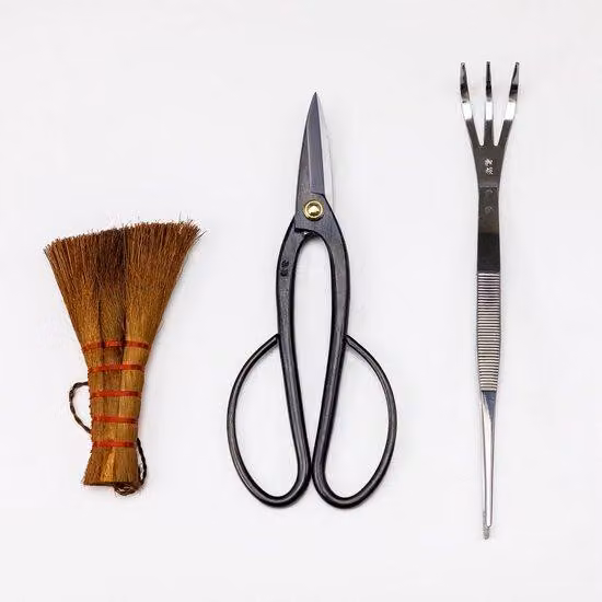 Set completo di strumenti per bonsai giapponesi, ideale per principianti – kit per la cura dei bonsai con forbici Acciaio al carbonio (fino a 6 mm), pinzette/rastrello 2-in-1 e spazzola