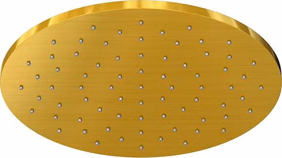 Steinberg Série 100 Douche de tête, douche de pluie, ronde, 250x8 mm, 1001686BG, 1001686BG