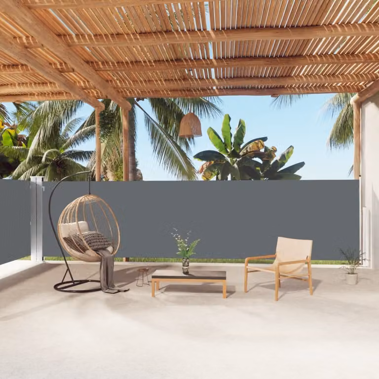 The Living Store Tenda laterale estensibile antracite 160x1000 cm