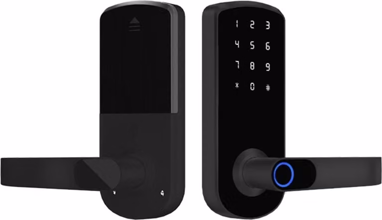 INF Serratura Intelligente per Porta Tuya - TTLock Bluetooth Biometrica per Casa, Appartamento, Hotel, Scuola Nero