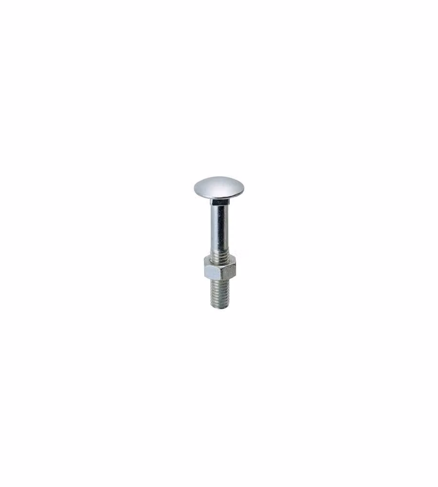 Viti Testa Tonda Con Quadro Sottotesta (Ttq) Inox Mm.6X 60