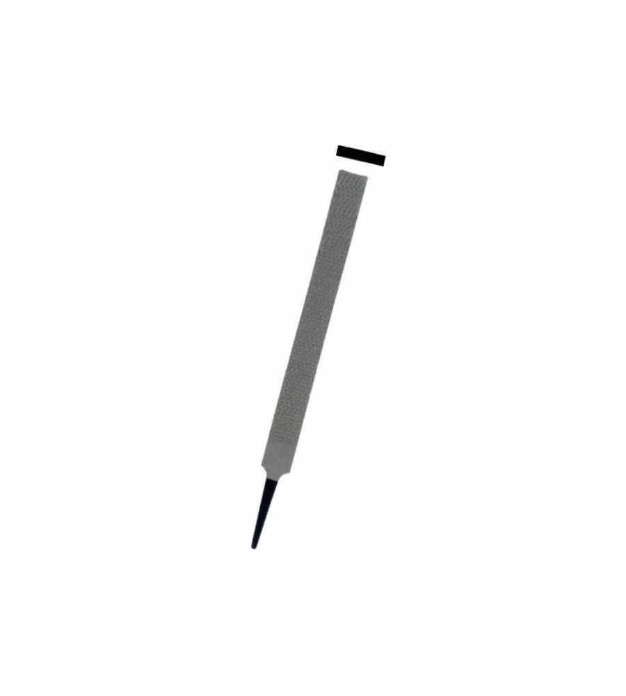Raspa Piatta Bastarda 10"                  Bassoli