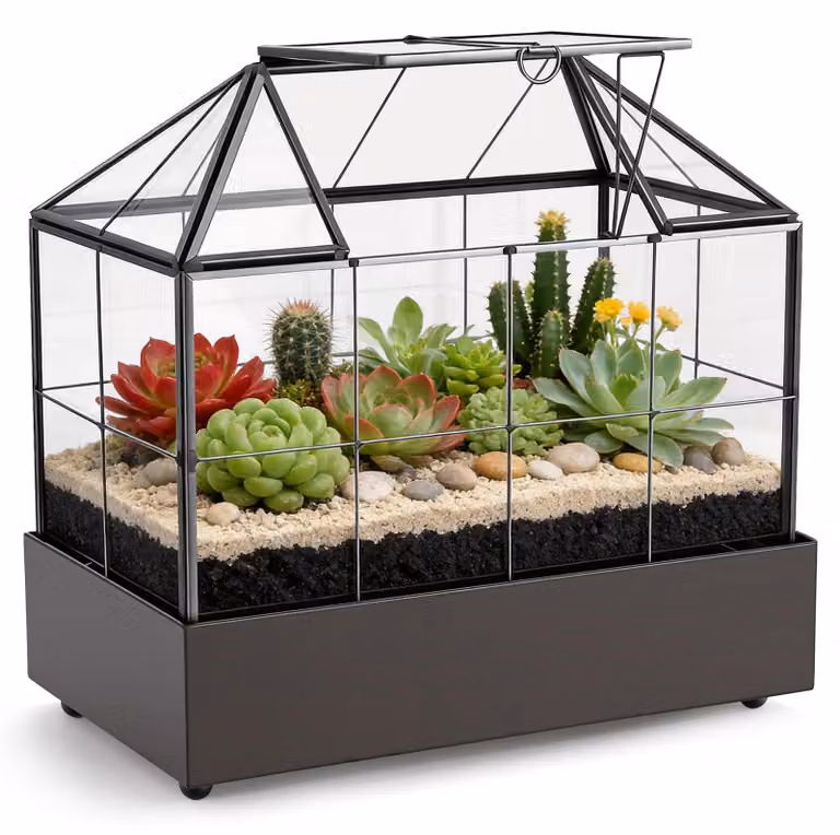 Mini serra in vetro, dimensioni 23,3 x 13,6 x 18 cm, ideale per davanzali