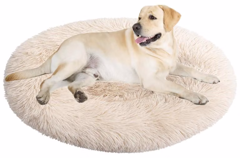 Cuccia per cani, cuccia per gatti, forma a ciambella, diametro 80 cm, marrone chiaro, lavabile, morbida e pelosa