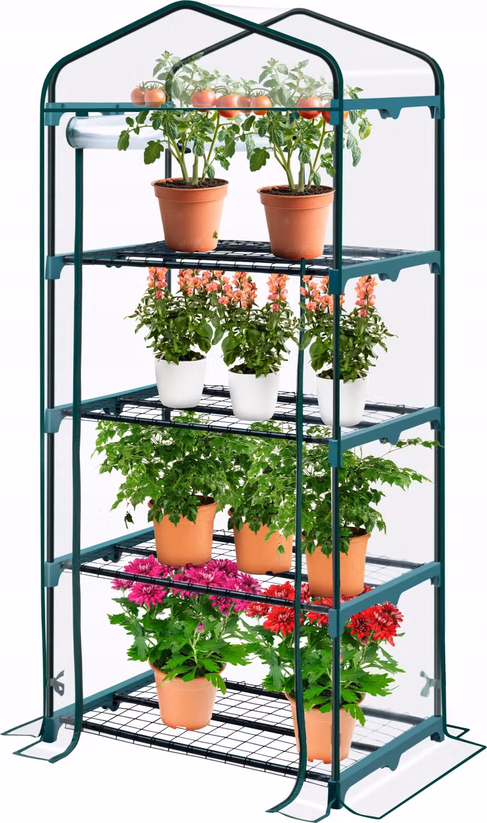 KANWOD Serra da giardino trasparente a 4 ripiani con porta avvolgibile, 158x68x50 cm