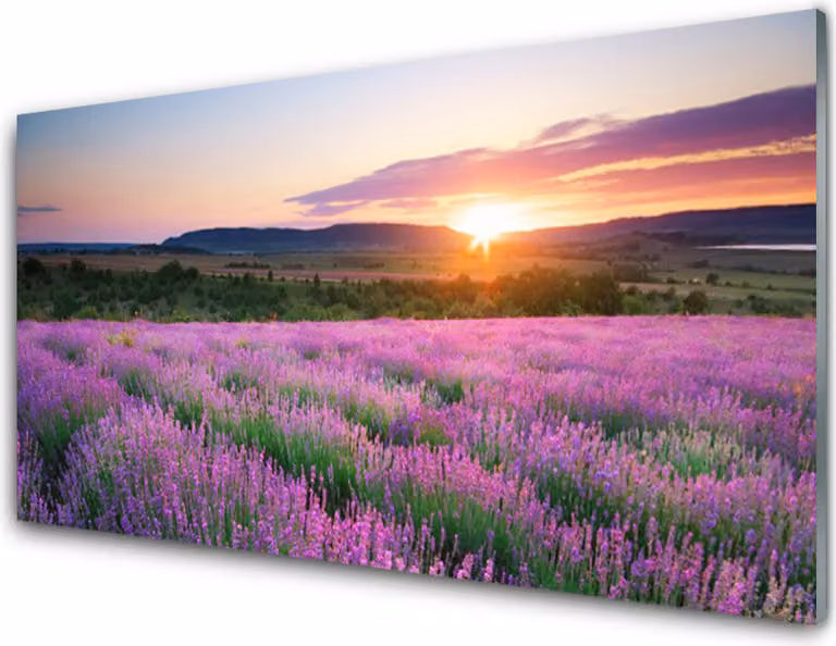 Pannello di vetro per cucina, dimensioni 100x50 cm, protezione dagli schizzi, motivo: sole, prato, fiori, natura