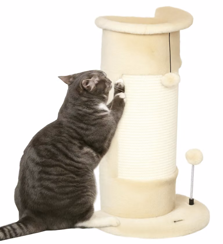 PawHut Tiragraffi a colonna, tiragraffi per gatti da 58 cm, tiragraffi con palla