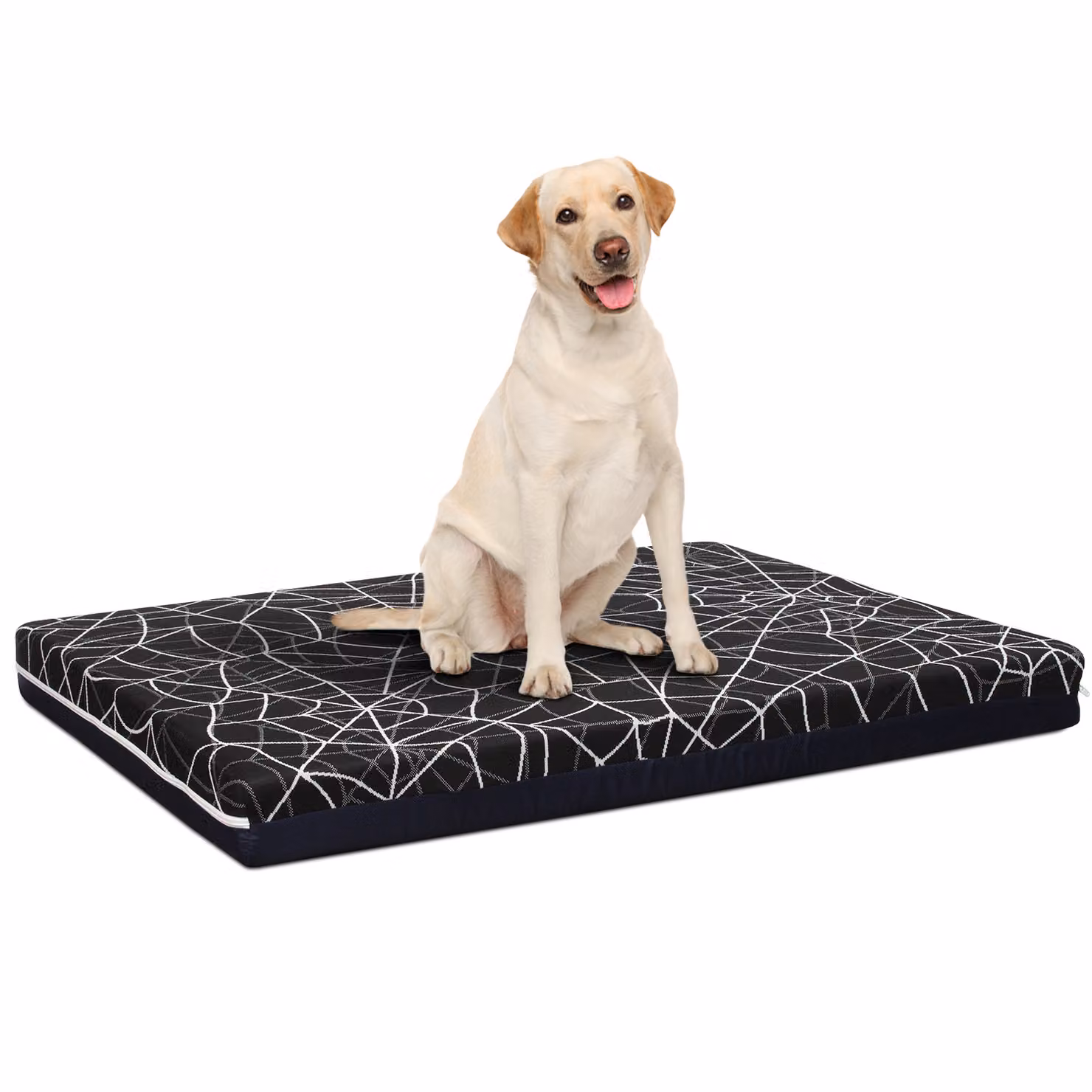 Cuccia Cane da interno Sfoderabile PetLove 70x90 cm Si Ragnatela