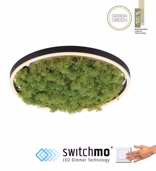 JUST LIGHT GERDA RITUS Lampada da soffitto a LED, bianco caldo, dimmerabile, 20 W, verde muschio 15391-66