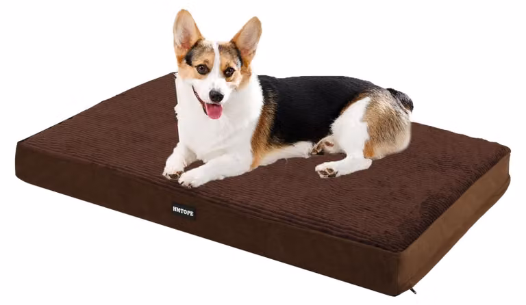 Omgoods - Cuccia ortopedica per cani di taglia media