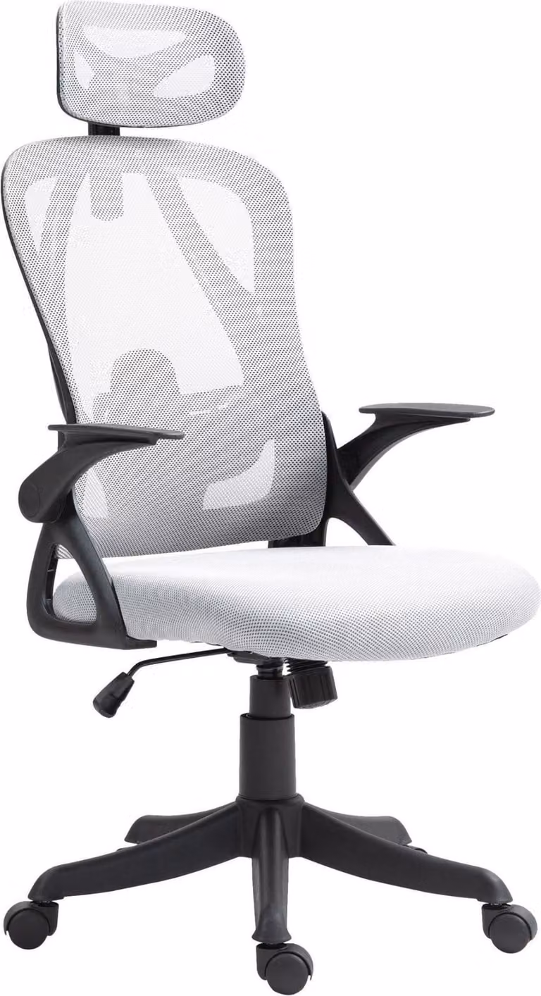 Sedia ergonomica per ufficio - Sedia da ufficio - Eccezionale comfort di seduta, supporto lombare regolabile | Colore: Grigio