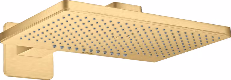 hansgrohe AXOR ShowerSolutions douche de tête de douche 460/300 douchette 2 jets rose, bras de douche, 35275250, 35275250