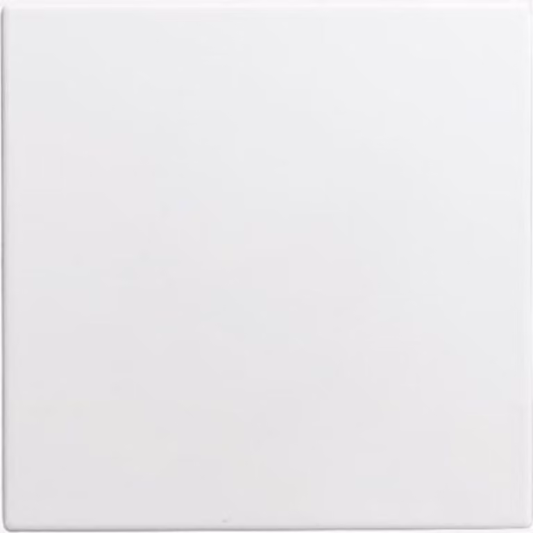 Busch-Jaeger piastra centrale cieca bianco alpino 1576 C-914