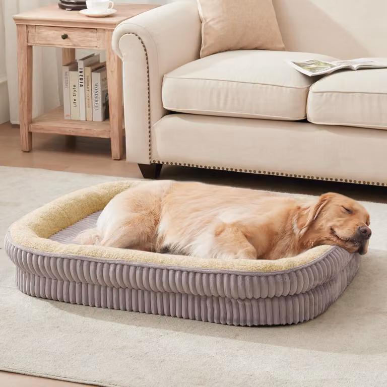 Cuccia ortopedica ovale per cani, realizzata in schiuma a forma di scatola di uova, dimensioni 89 x 71 cm, colore grigio, con rivestimento removibile