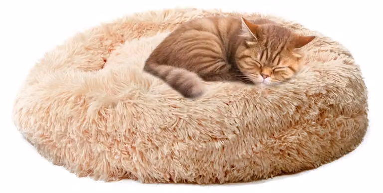 Cuccia per cani, diametro 70 cm, cuscino in peluche, forma rotonda, colore beige, per animali domestici