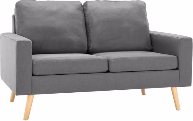 Divano | Divano da soggiorno | Sofa a 2 Posti Grigio Chiaro in Tessuto