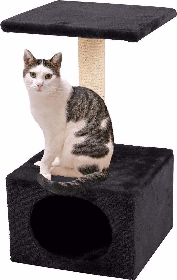 Graffiatoio Karlie Amethyst - Peluche/Sisal - Nero - 30x30x55 cm
