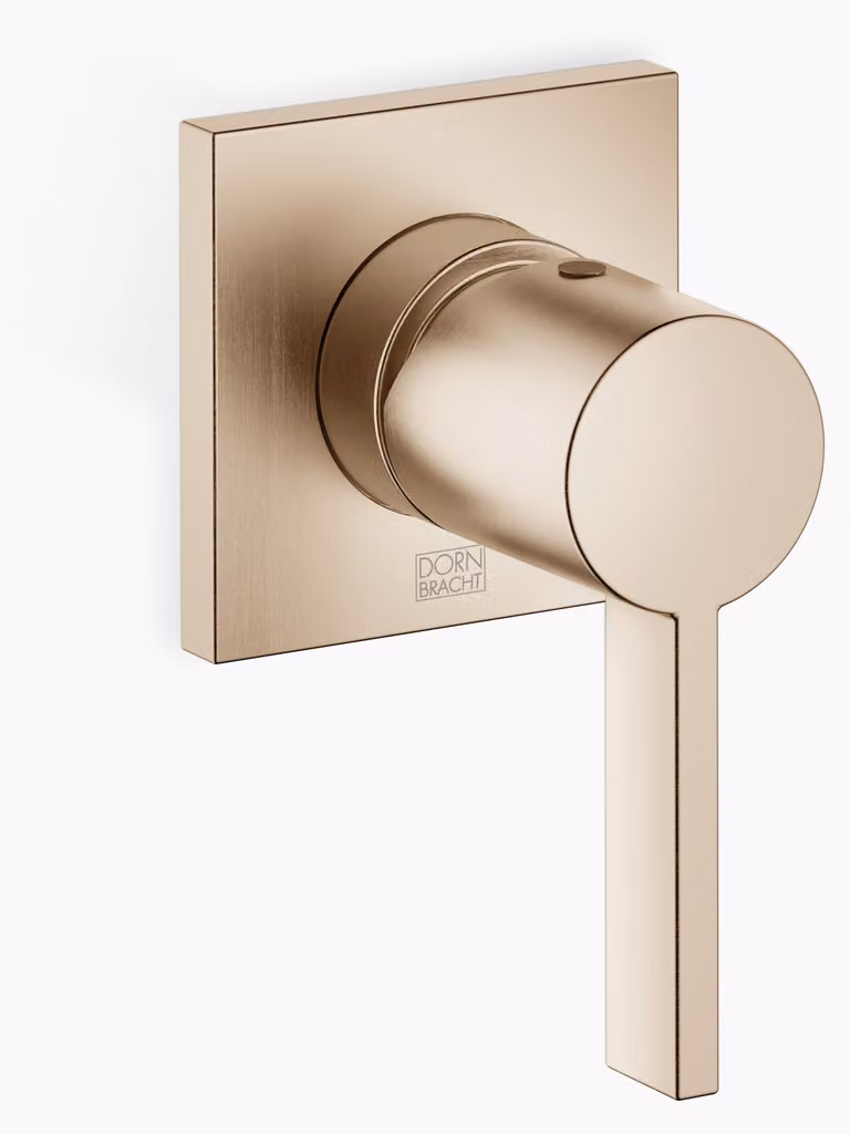 Dornbracht mitigeur monocommandé encastré avec plaques de recouvrement 80x80mm, 36060670-46, 36060670-46