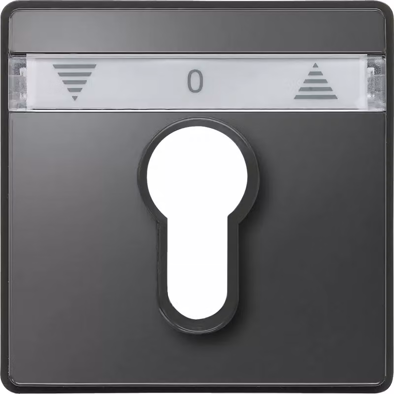 Piastra centrale per moduli interruttori a pulsante e a scatto per tapparelle, antracite, AQUADESIGN