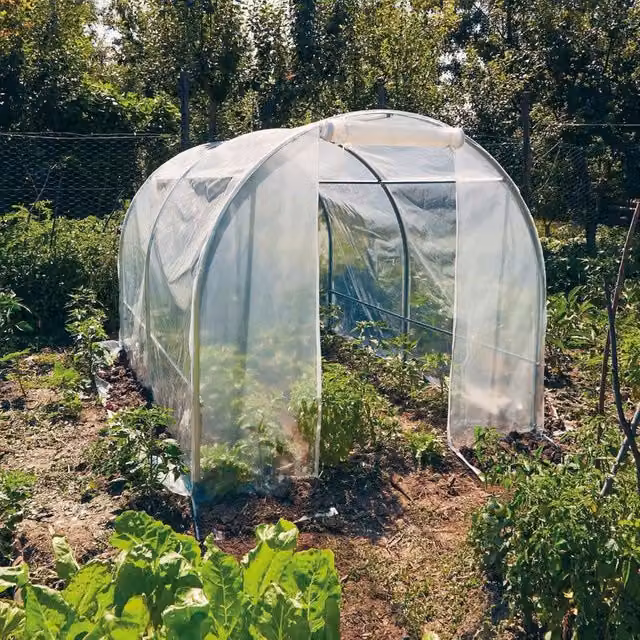 Serra da giardino a tunnel Verdemax Spring Medium in acciaio galvanizzato trasparente L 200 x P 300 x H 175 cm