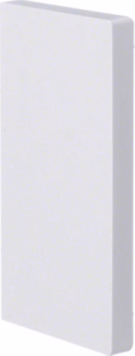 HAGER tehalit.BRP Terminale 65x130 bianco BRP6513069016