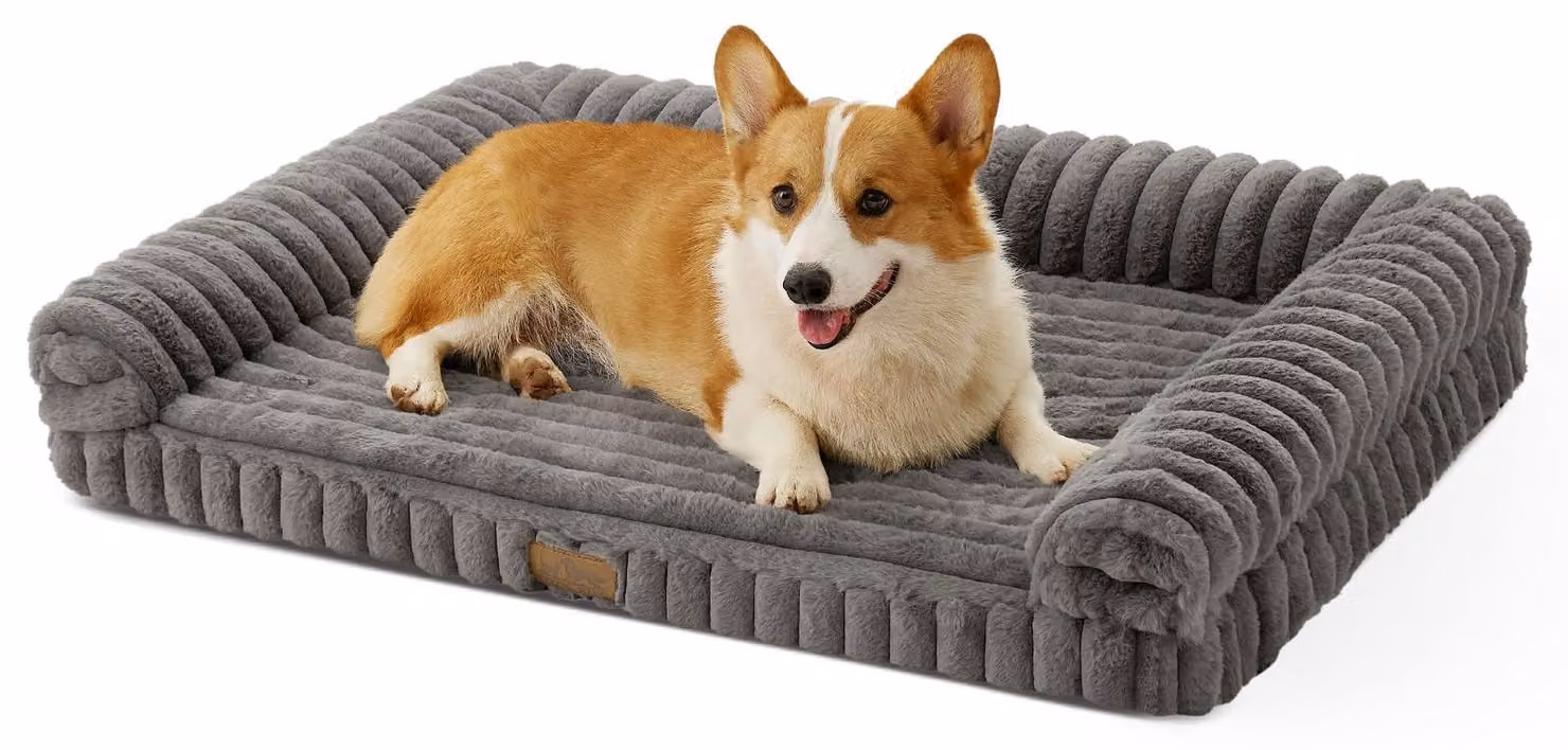 Solidchoice - Cuccia ortopedica per cani di grossa taglia, ergonomica e lavabile